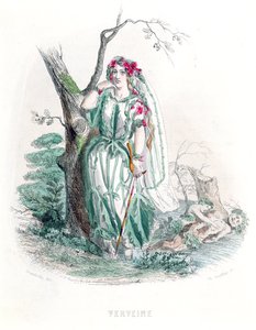 La verbena, da 